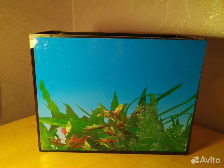Аквариум 10 литров