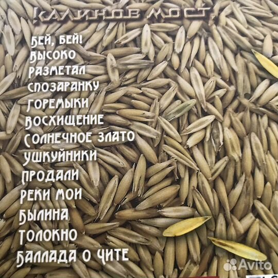 Cd диски фирменные Калинов Мост