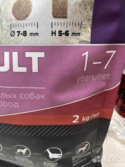 Корм для собак
