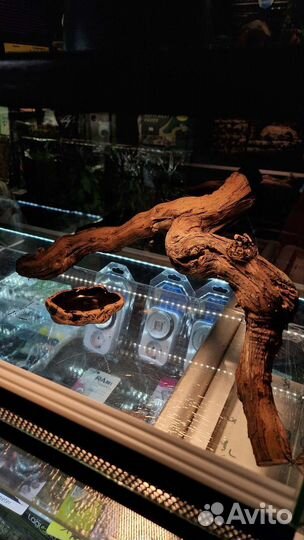 Террариум для бородатой агамы