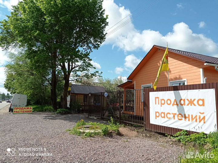 Садовые растения