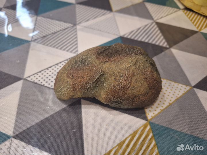 Укрытие для рептилий