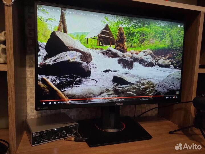 Asus TUF Gaming VG259Q, 144Гц, 24.5 дюйма