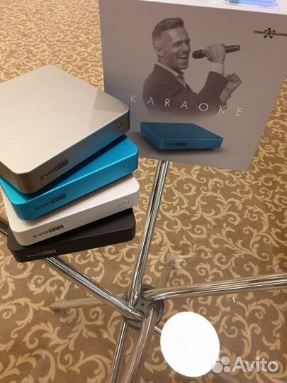 Караоке-система для дома EvoBox + 2 микрофона