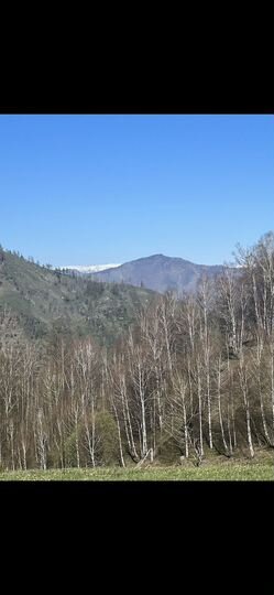 Участок 12,23 га (СНТ, ДНП)