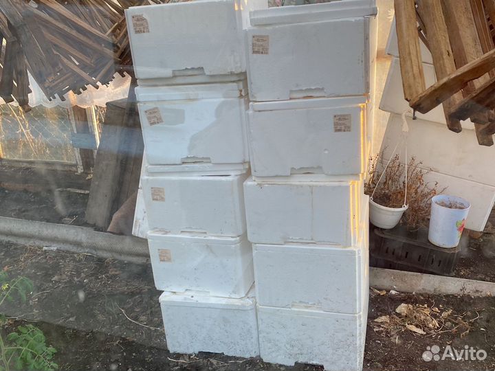 Термос контейнер