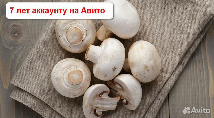 Грибы для себя или Готовый Грибной бизнес