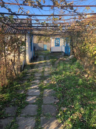 Дом 39,5 м² на участке 21 сот.