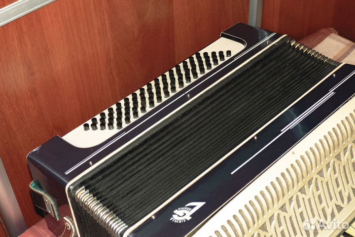 Аккордеон Sibylla brand