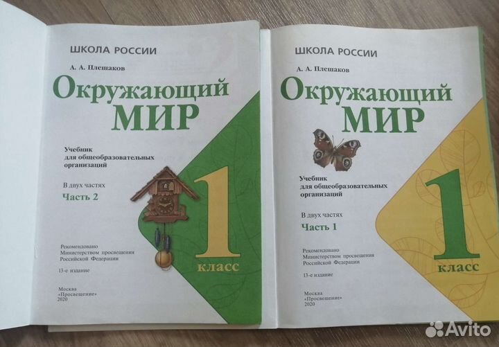 Окружающий мир 1 класс плешаков