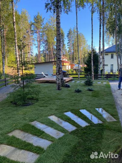 Рулонный газон