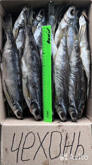 Рыба вяленная