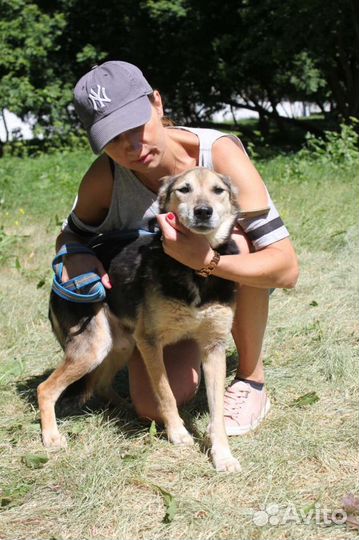 Добряк а никому не нужен а он ждет