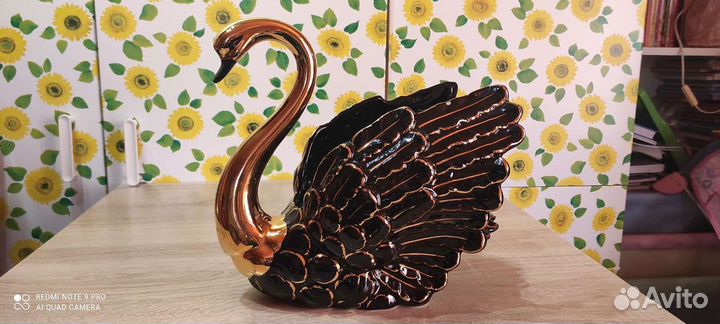 Лебедь чёрный Dipinto amano