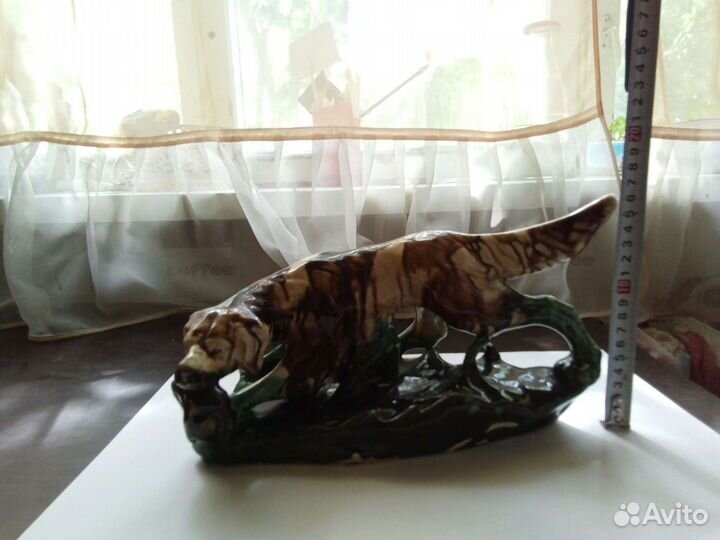 Собака на охоте