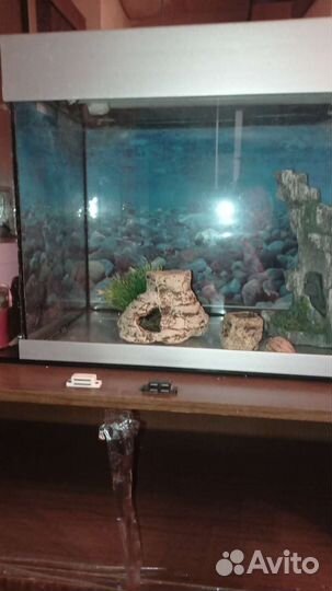 Аквариум
