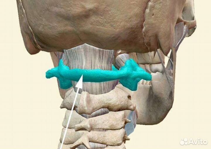 Коррекция атланта