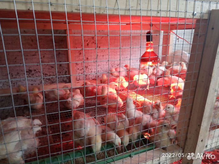 Лпх всё натуральное и экологически чистое