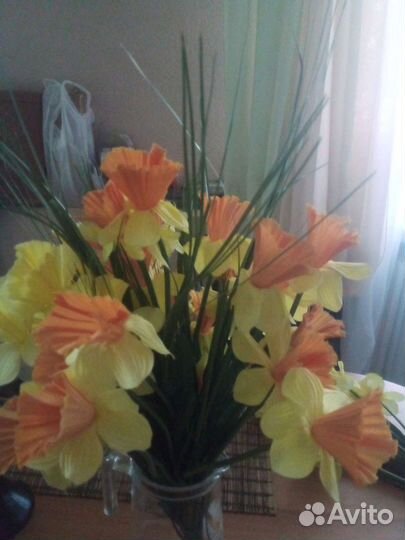 Нарциссы кустовые декоративные 5 кустов