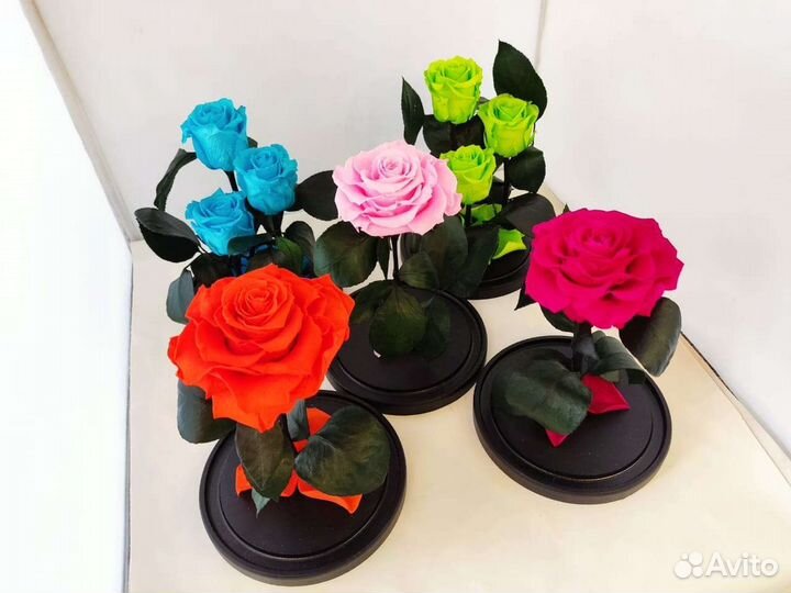 Вечная роза в колбе оптом и в розницу