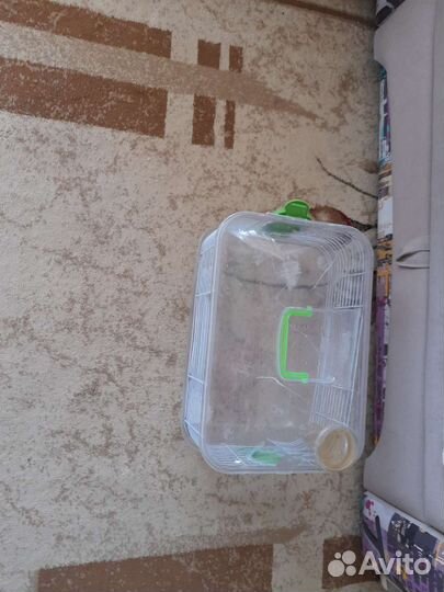 Клетки для мелких грызунов и птиц