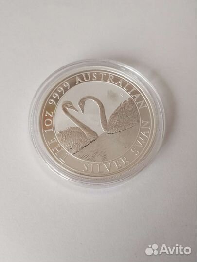 Лебедь 2022. Австралия. Серебро