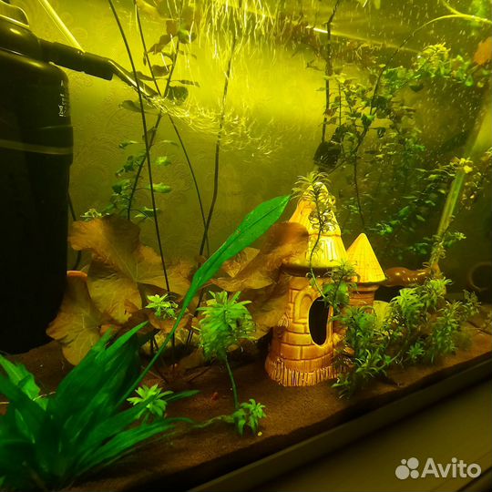Аквариум