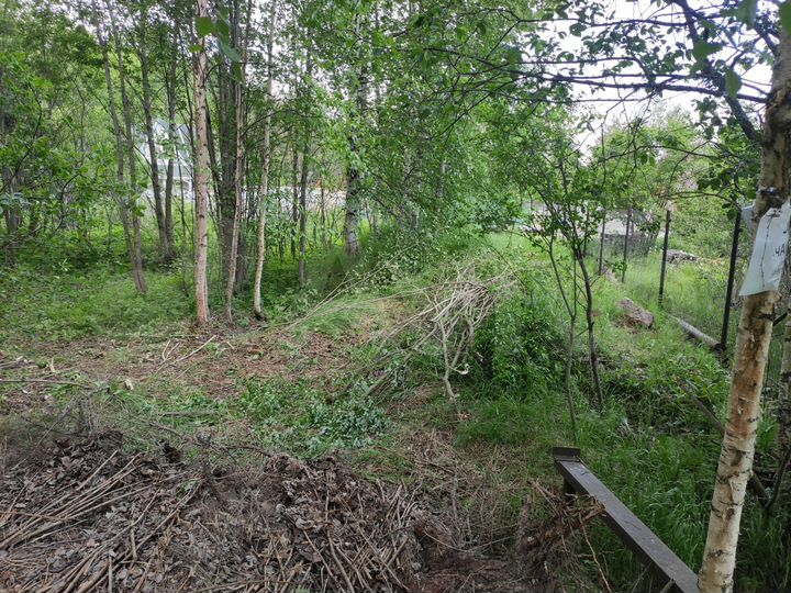 Участок 8 сот. (СНТ, ДНП)