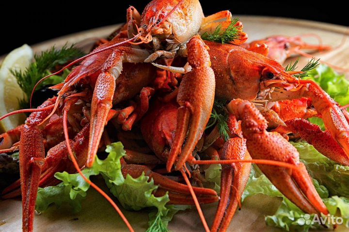Раки крупные 50/70