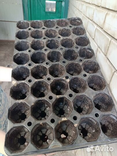 Кассеты для рассады, горшки