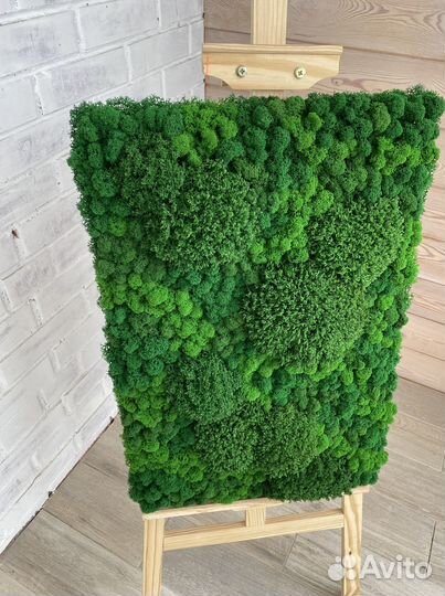 Панели из стабилизированного мха