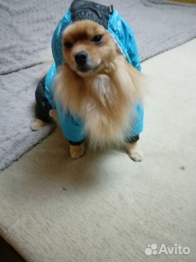 Зимний комбинезон