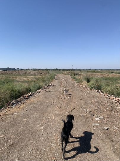 Склад, 1450 м²