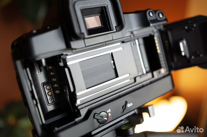 Canon EOS-3 w/EF 40mm f/2.8 STM