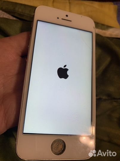iPhone 5, 16 ГБ