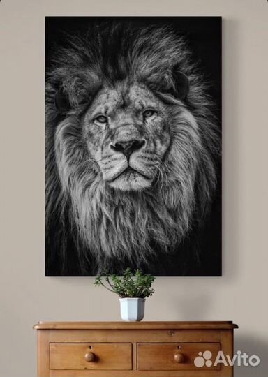 Картина Лев на холсте