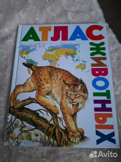 Книги, энциклопедии