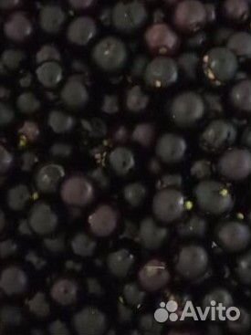 Варенье из поздники