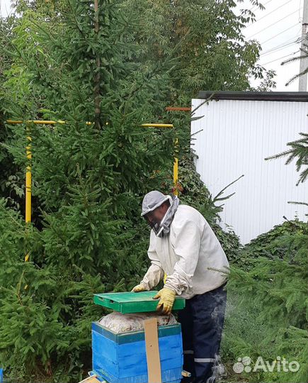 Крем мед, мед