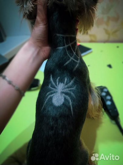 Груминг собак