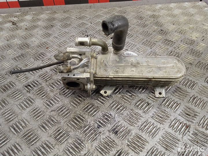 Радиатор системы егр для Seat Toledo 3 038131512H