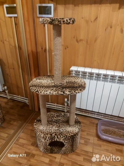 Домик для кошки с когтеточкой бу