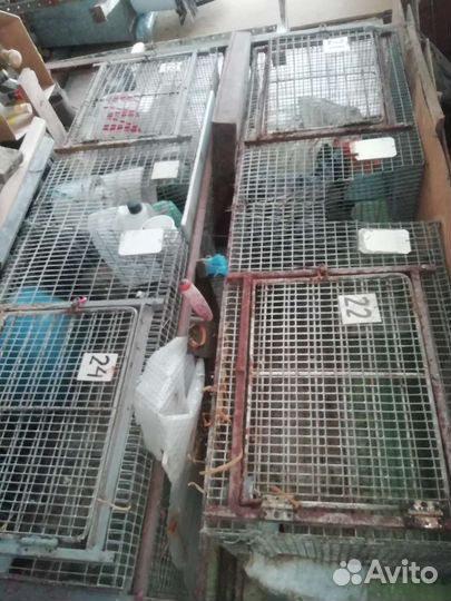 Клетки для кроликов, птиц и т. д