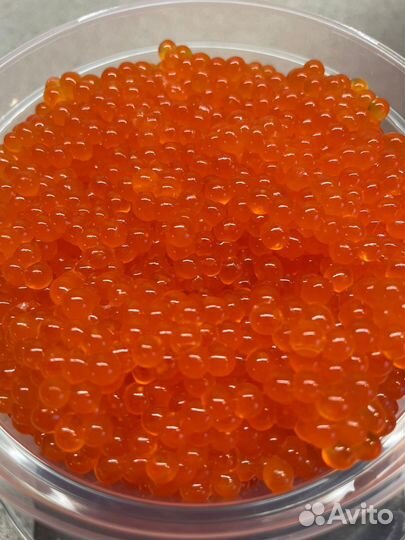 Красная икра