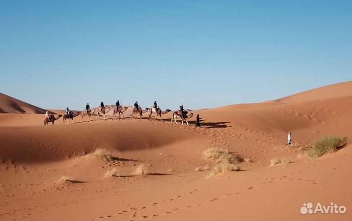 Поездка Египет на 6 нч от 5*