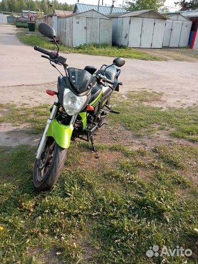 Motolend bandit 250