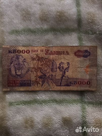 Замбия 5000 квача 1992