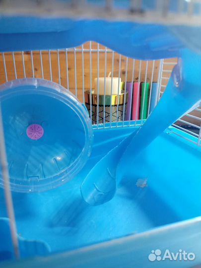 Клетка для джунгарского хомяка бу