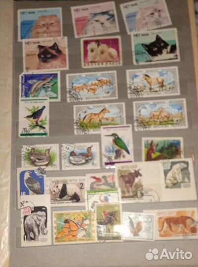 Продам марки СССР100