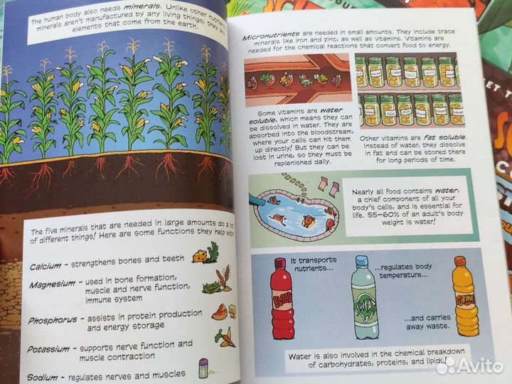 Детские английские книги научные комиксы